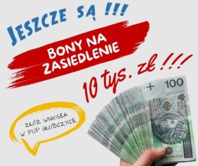 Zdjęcie artykułu Jeszcze są - bony na zasiedlenie !!!